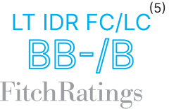 Fitch Rating